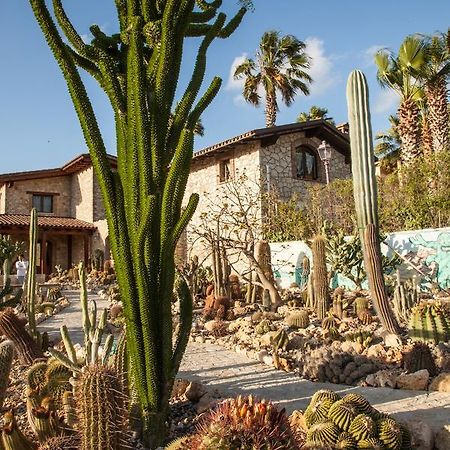 Garden Cactus Konuk evi Villaggio Mosè Dış mekan fotoğraf