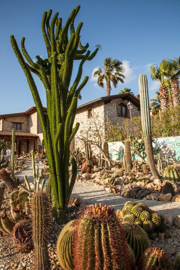 Garden Cactus Konuk evi Villaggio Mosè Dış mekan fotoğraf